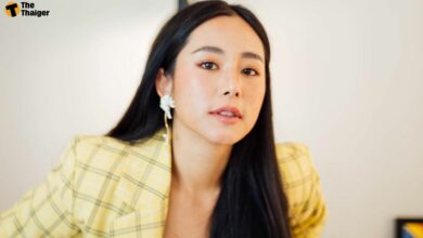 ใบเฟิร์น อัญชสา โดนคอมเมนต์ จมูกปลอม