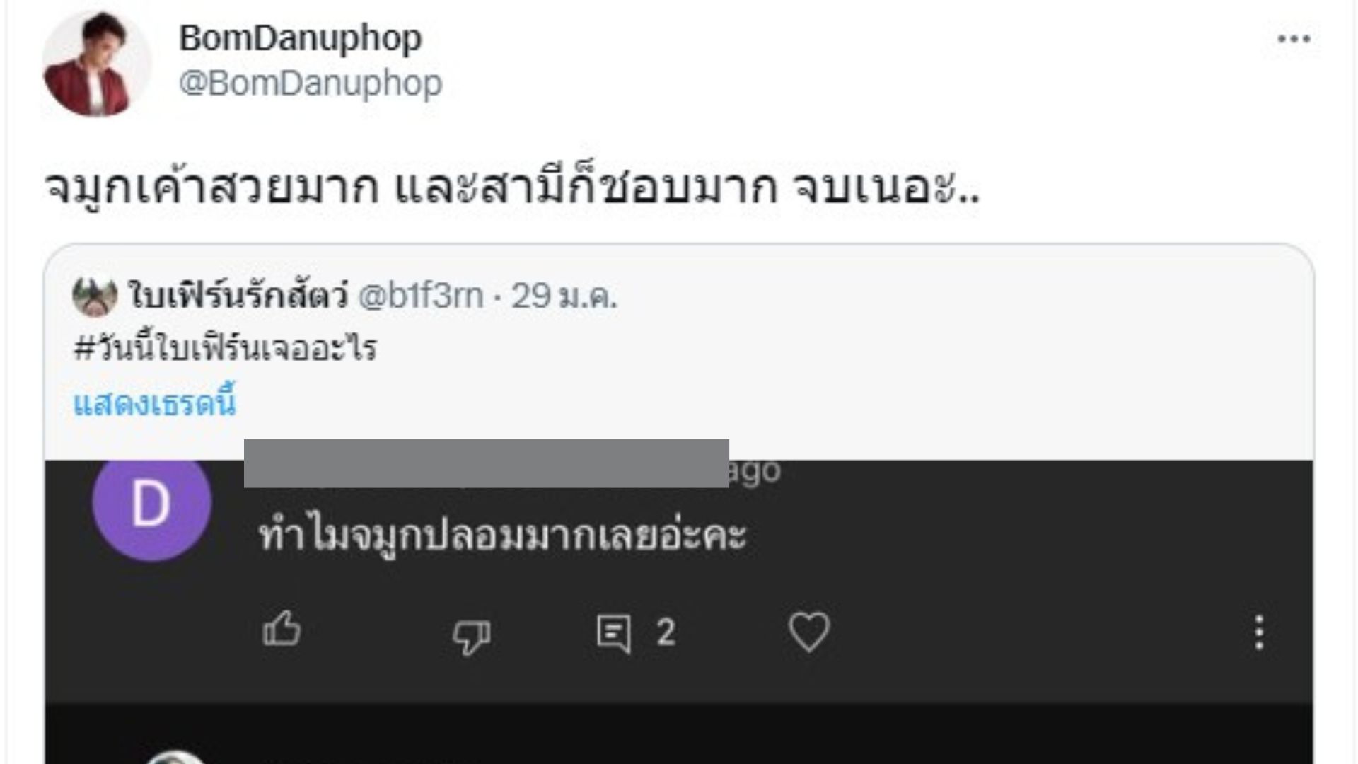 ใบเฟิร์น อัญชสา โดนคอมเมนต์จมูกปลอม