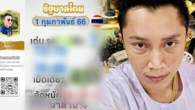 ไม้เอกนาคา 1 2 66