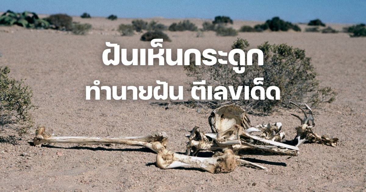 ฝันเห็นกระดูก