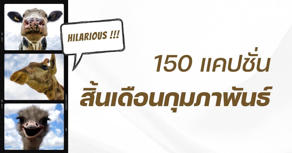 150 แคปชั่นสิ้นเดือนกุมภาพันธ์ 2566 ก่อนจะเข้ามีนา ขอมีคนกุมมือก่อน |  Thaiger ข่าวไทย