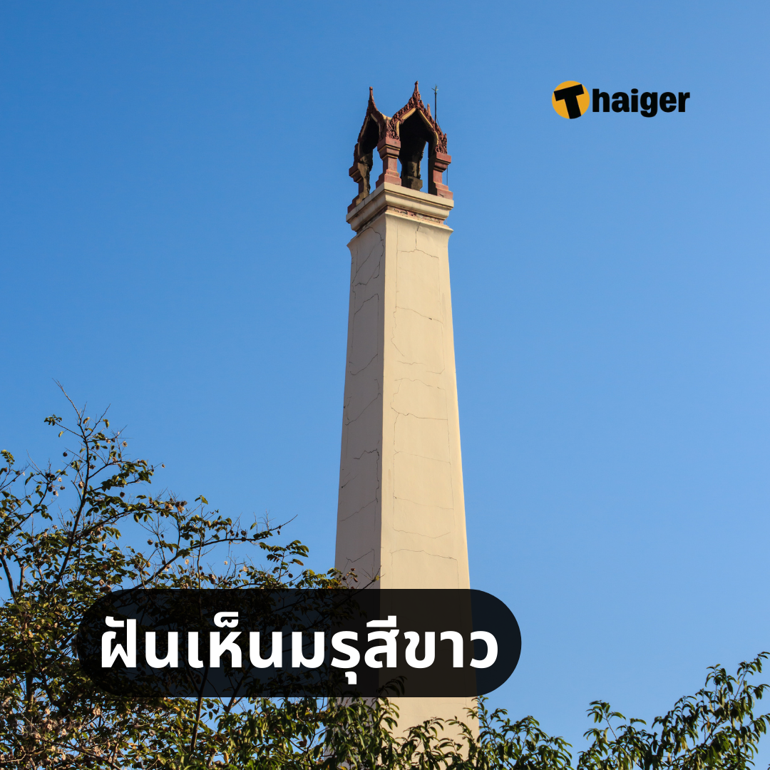 My Image 12