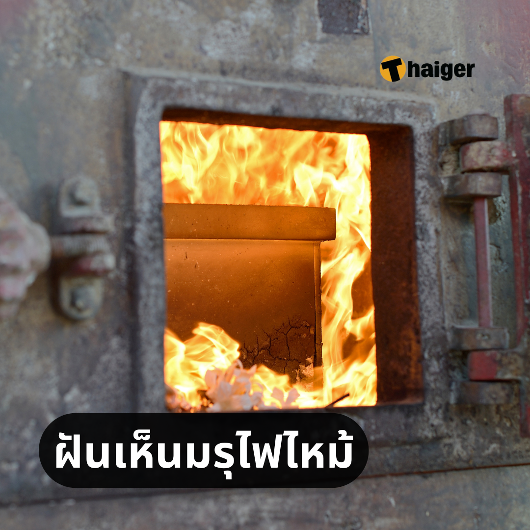 My Image 11