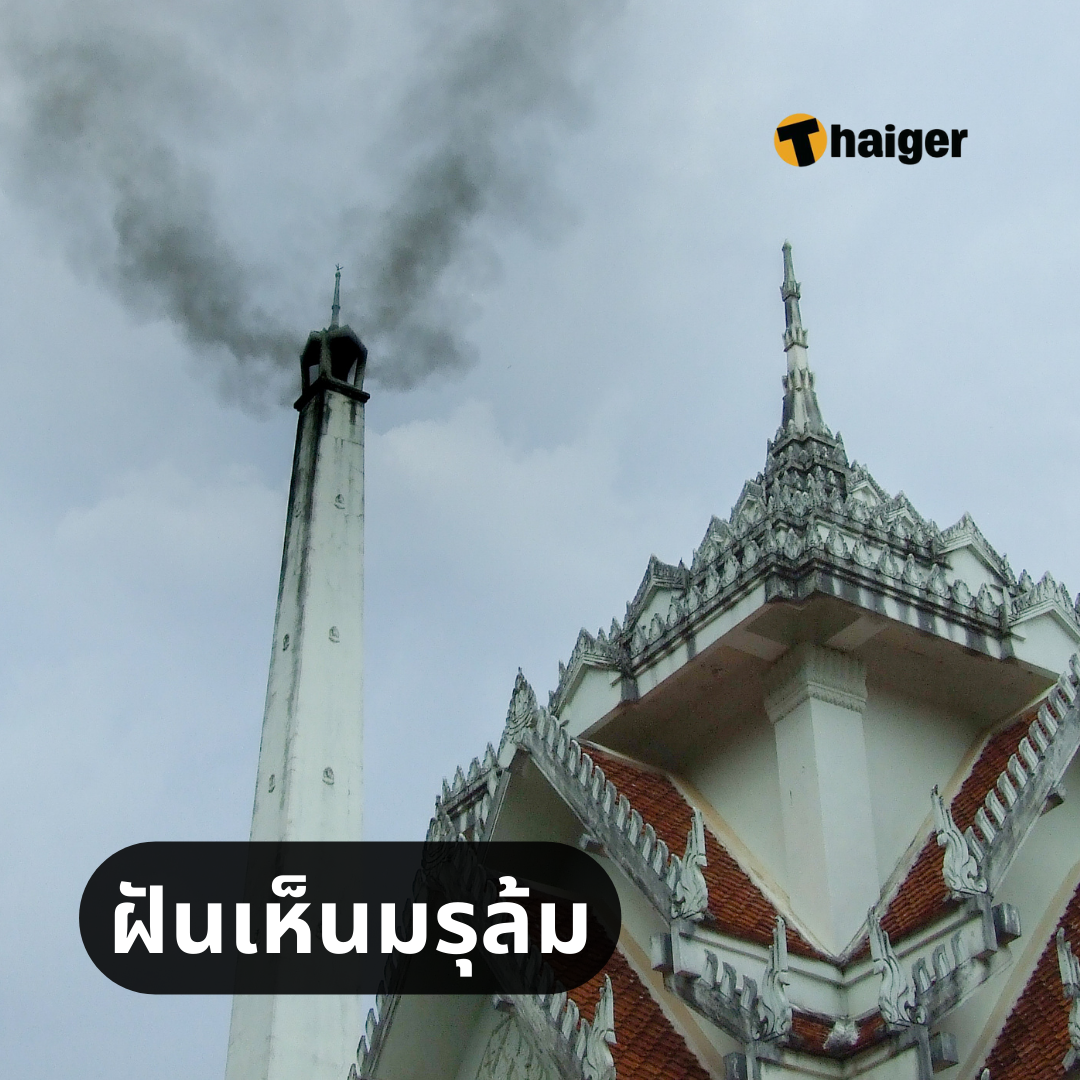 My Image 13