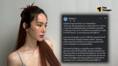 ปุ้มปุ้ย พรรณทิพา ด่าชาวเน็ต