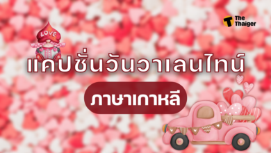 แคปชั่นวันวาเลนไทน์ ภาษาเกาหลี