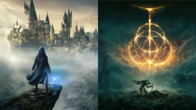 Hogwarts Legacy Elden Ring