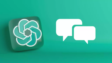 OpenAI ChatGPT Plus