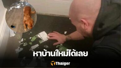 นิวคาสเซิ่ล คาราบาว คัพ