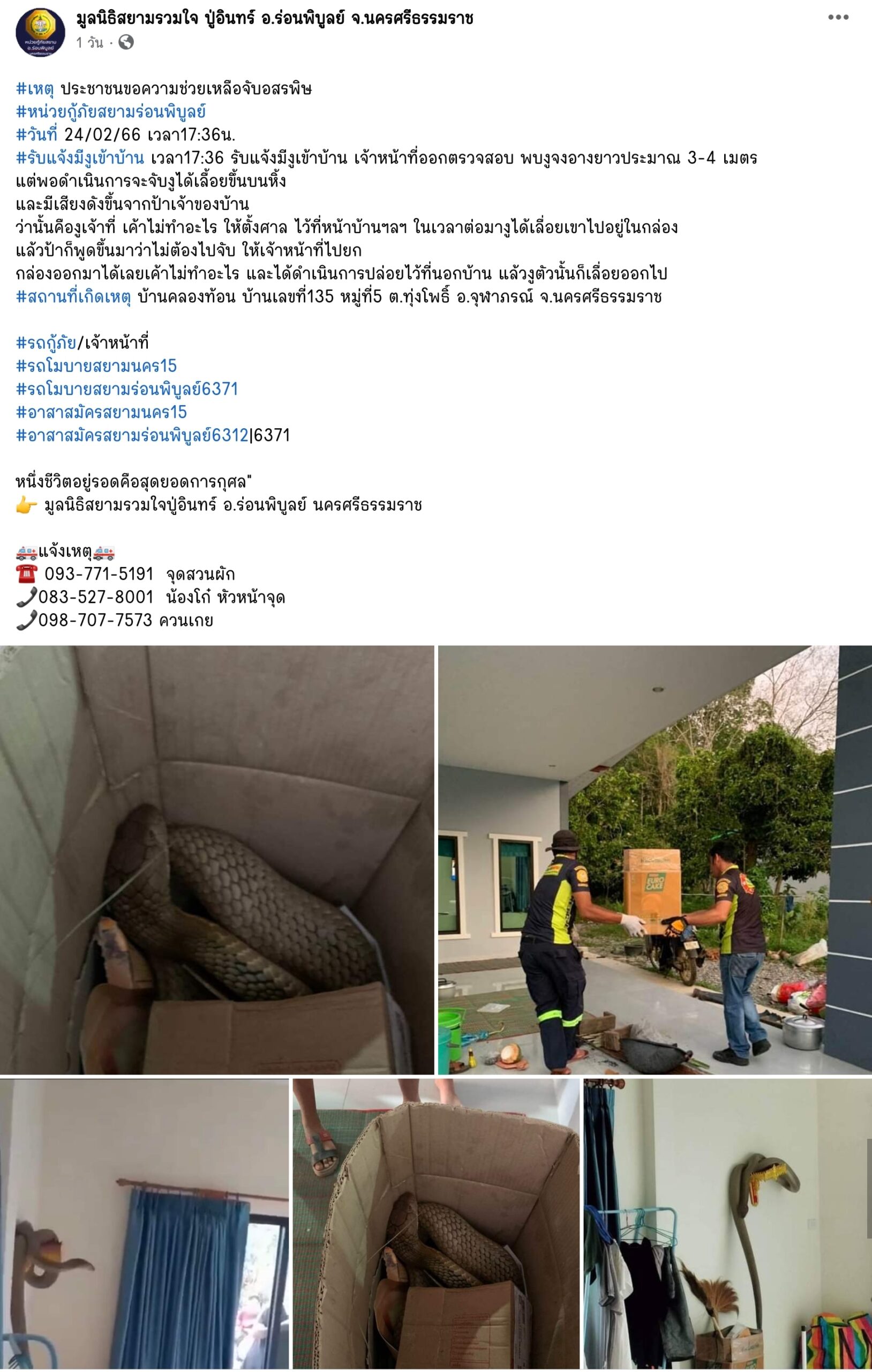 งูจงอางเลื้อยเข้าบ้าน