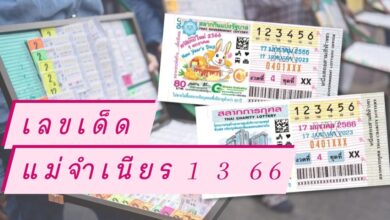แม่จำเนียร 1 3 66