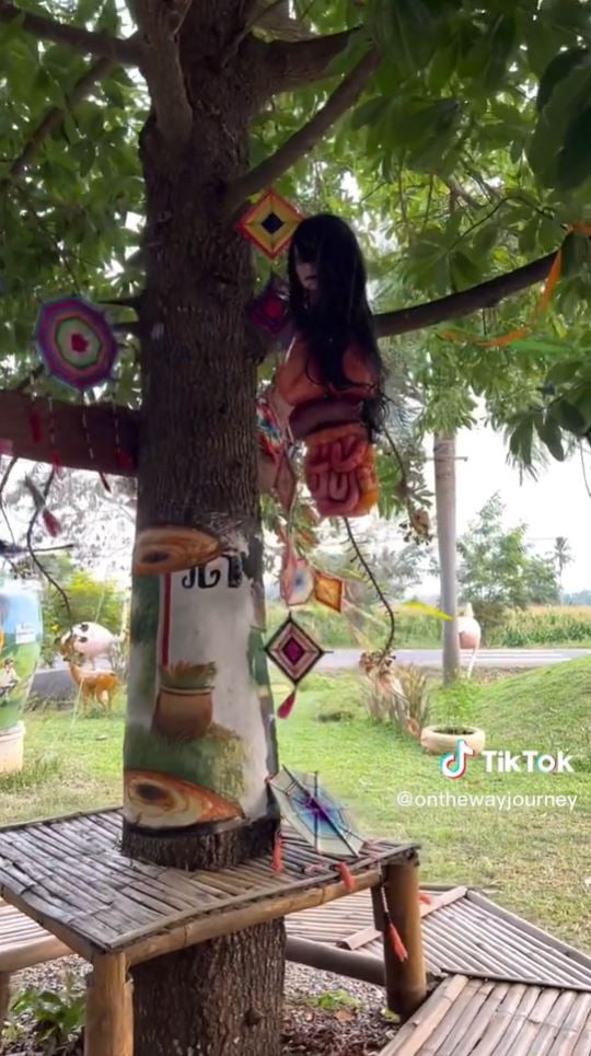 คาเฟ่ป่าช้า