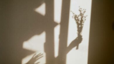 คู่หมั้นแอบถ่ายคลิป