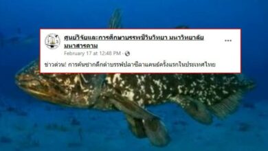 ซากปลาซีลาแคนธ์