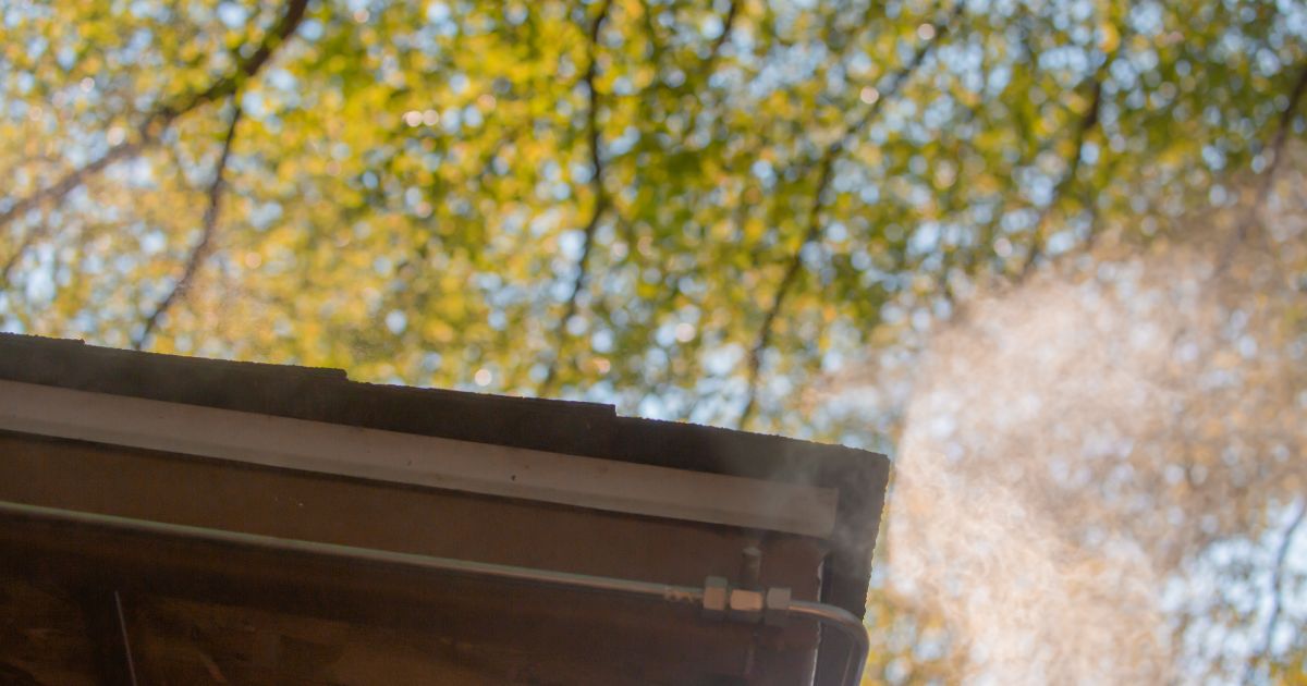 ต้นไม้ลดฝุ่น