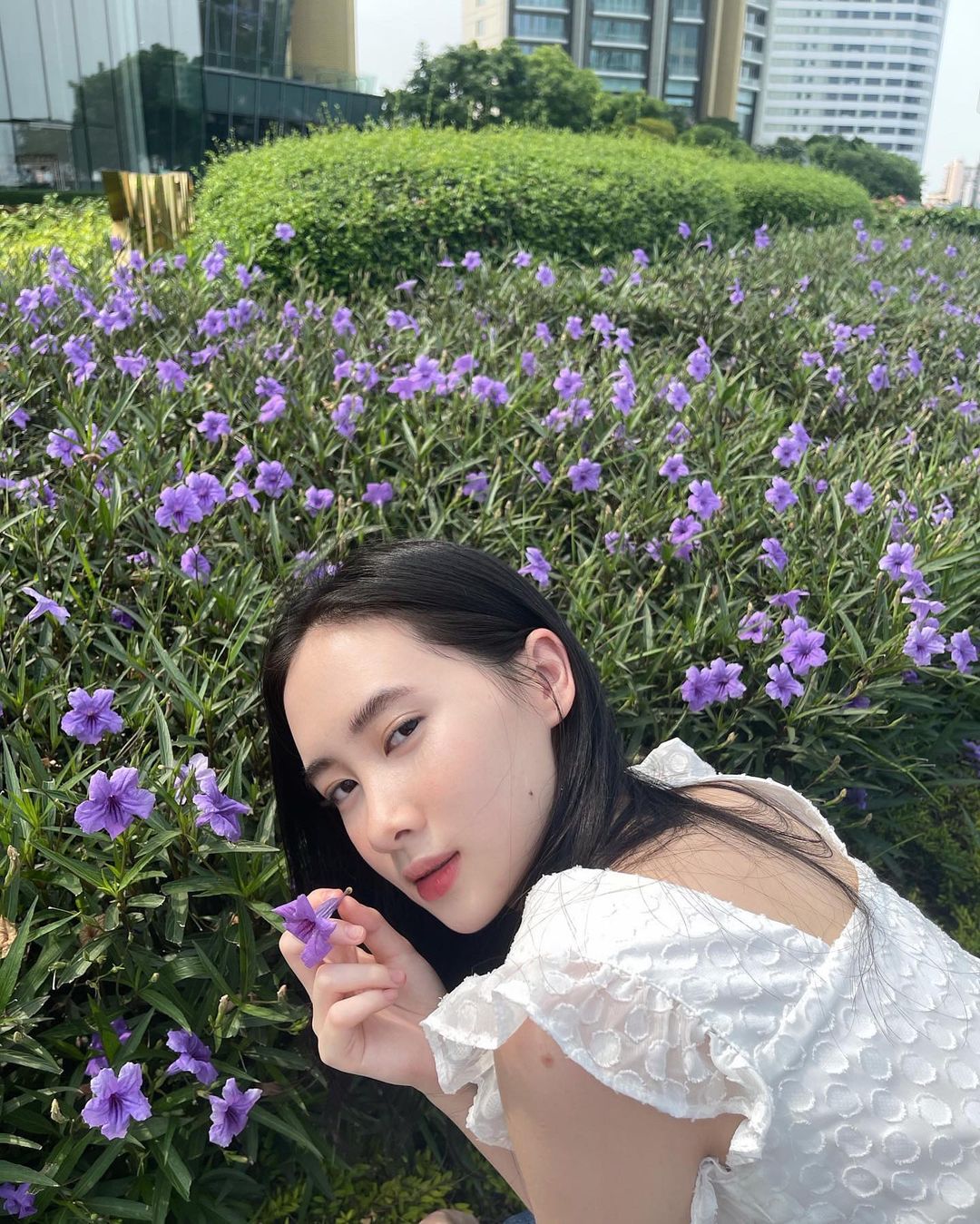 น้ำแข็งแฝดใบปอ