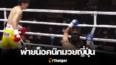 ปกรณ์ เอี่ยมยอด โกกิ อิโนอุเอะ PXB PHOENIX BATTLE