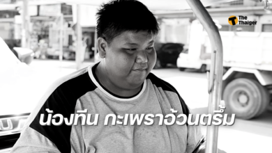 ประวัติ น้องทีน กะเพราอ้วนตรึ้ม