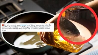 ปลาทอดหยินหยาง