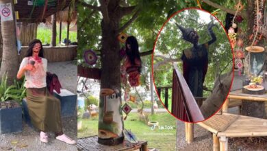 ป่าช้าคาเฟ่ ร้านกาแฟ