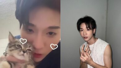 ข่าวเรียกค่าไถ่แมว