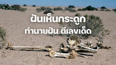ฝันเห็นกระดูก
