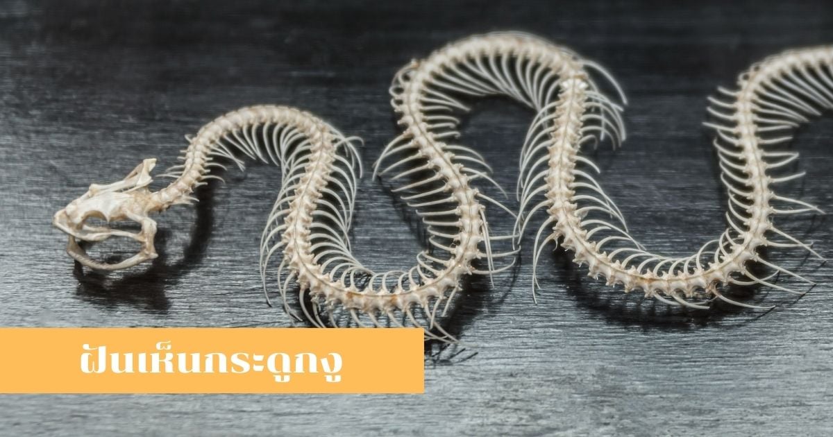 ฝันเห็นกระดูก