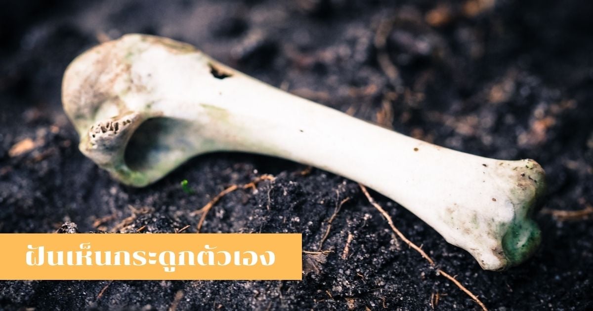 ฝันเห็นกระดูก