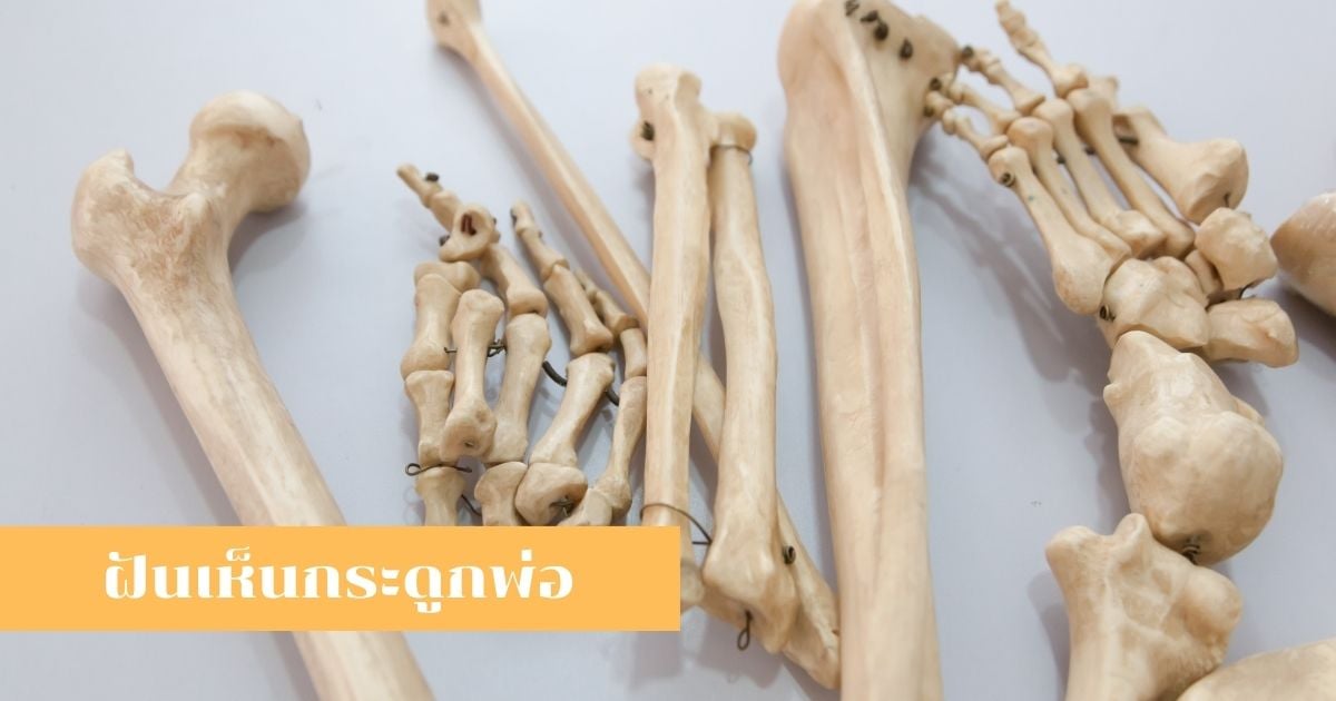 ทำนายความฝันฝันเห็นกระดูก