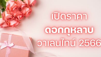 ราคากุหลาบ วาเลนไทน์ 2566