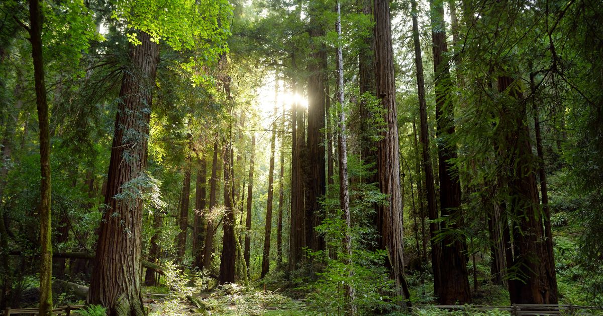 วันสำคัญ