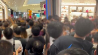 สตุสซี่ x ลีวาย