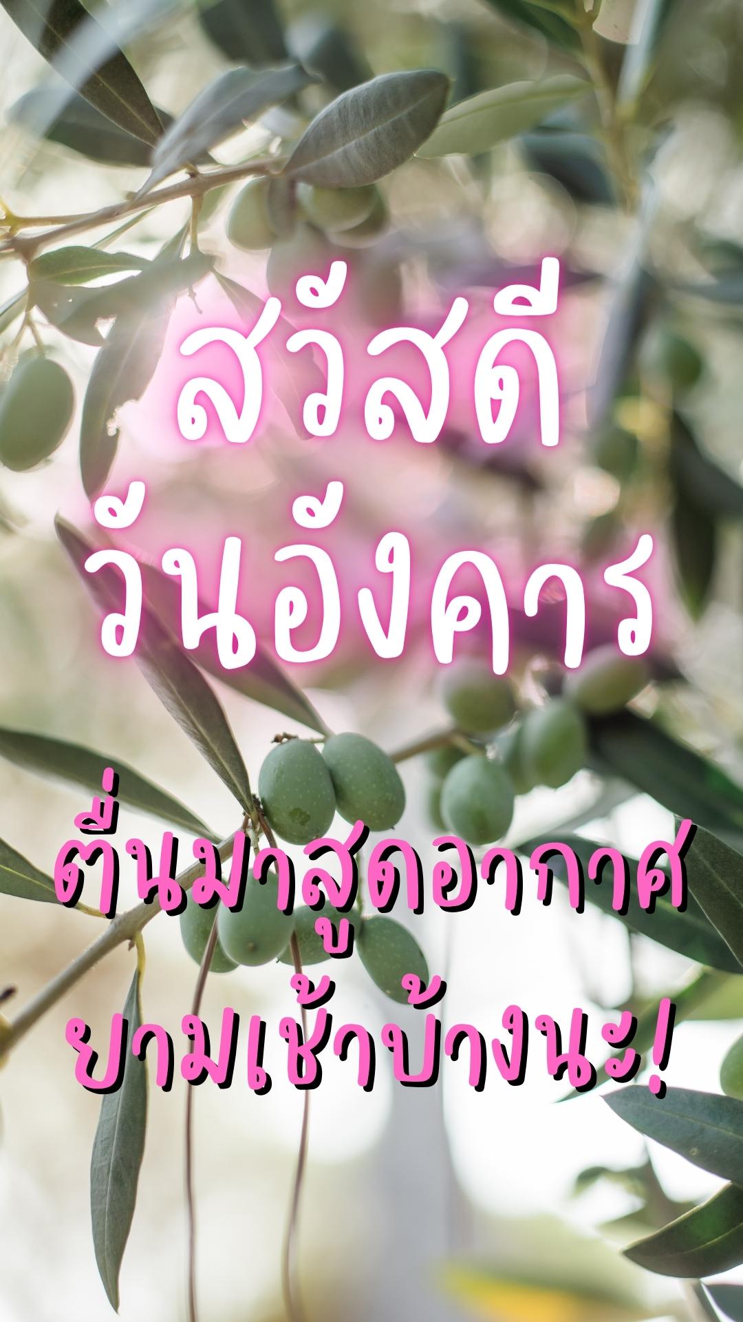 สวัสดีวันอังคาร