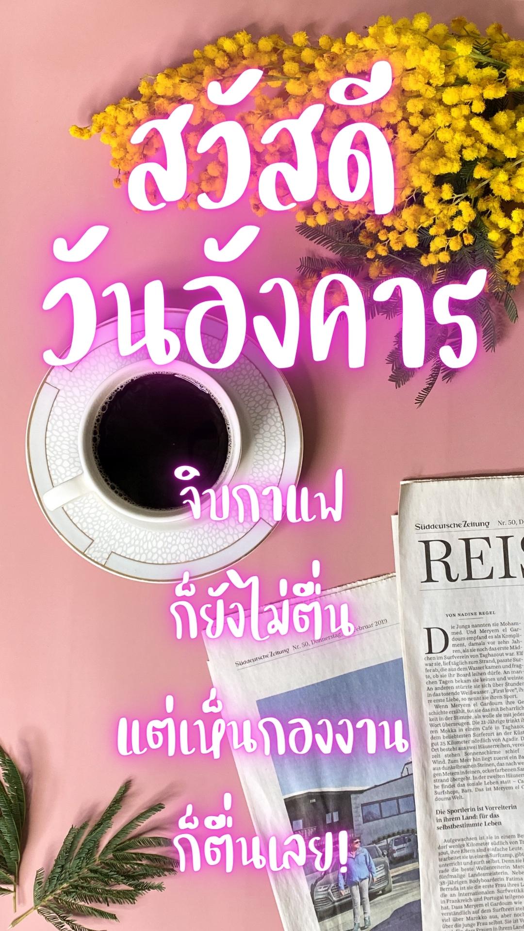 สวัสดีวันอังคารกาแฟ