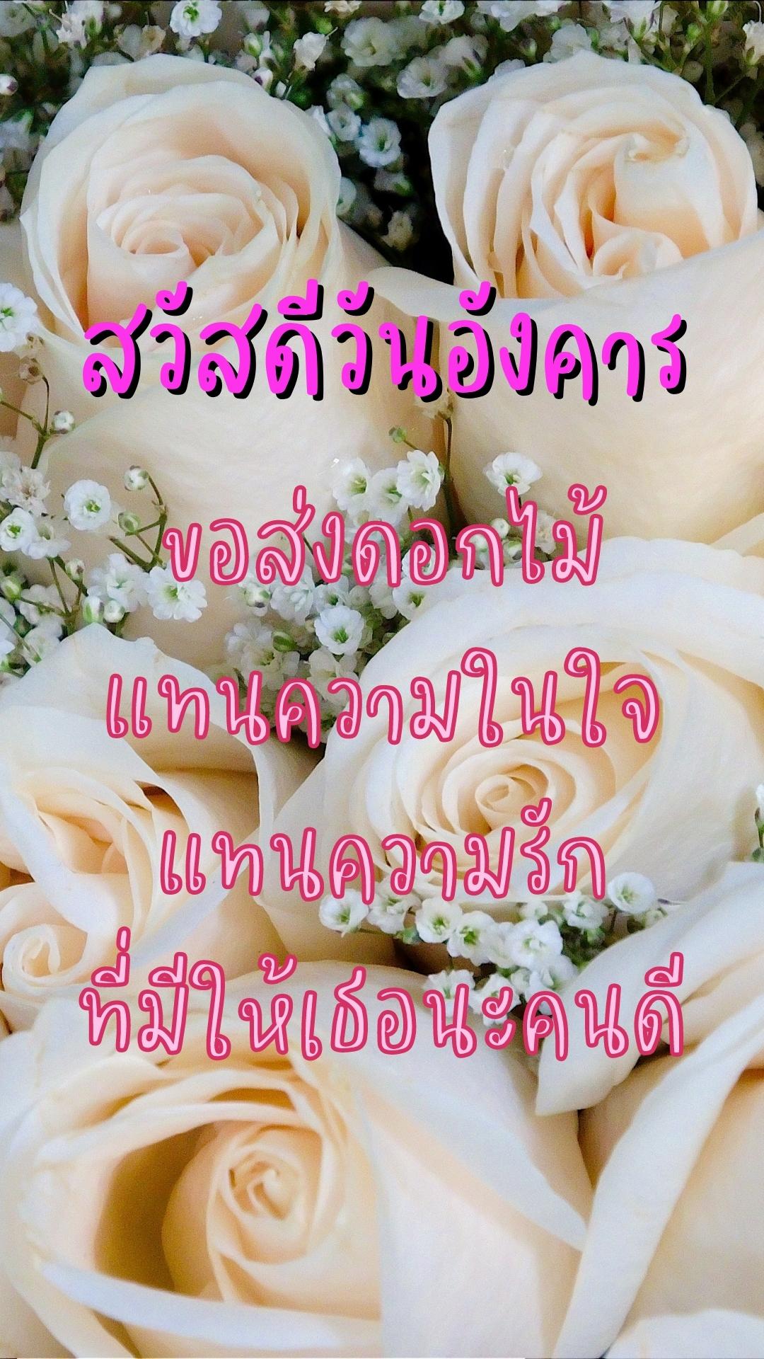 สวัสดีวันอังคาร