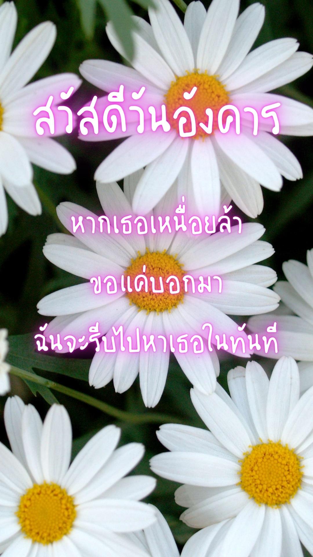 สวัสดีวันอังคาร