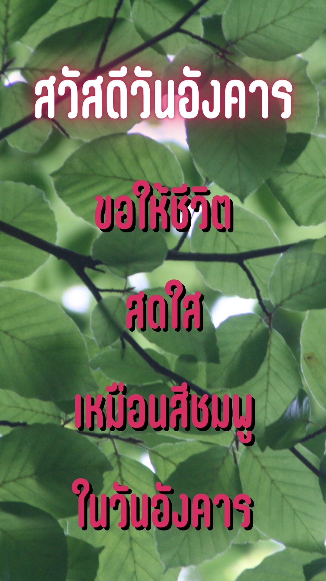 สวัสดีวันอังคารธรรมชาติ