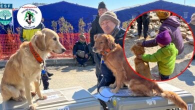 เซียร่า ซาฮาร่า