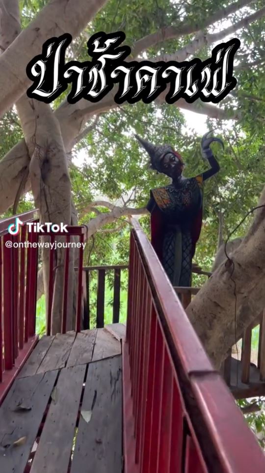 เปิดป่าช้าทำร้านกาแฟ