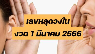 เลขหลุดวงใน 1 3 66