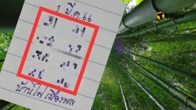เลขเด็ด บ้านไผ่เมืองพล 1 3 66