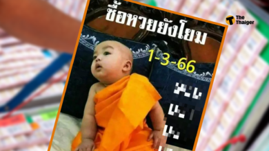 เลขเด็ด เณรน้อย 1 3 66