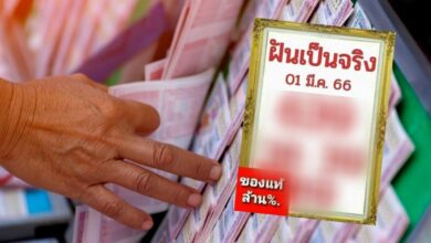 เลขเด็ดฝันเป็นจริง 1 3 66