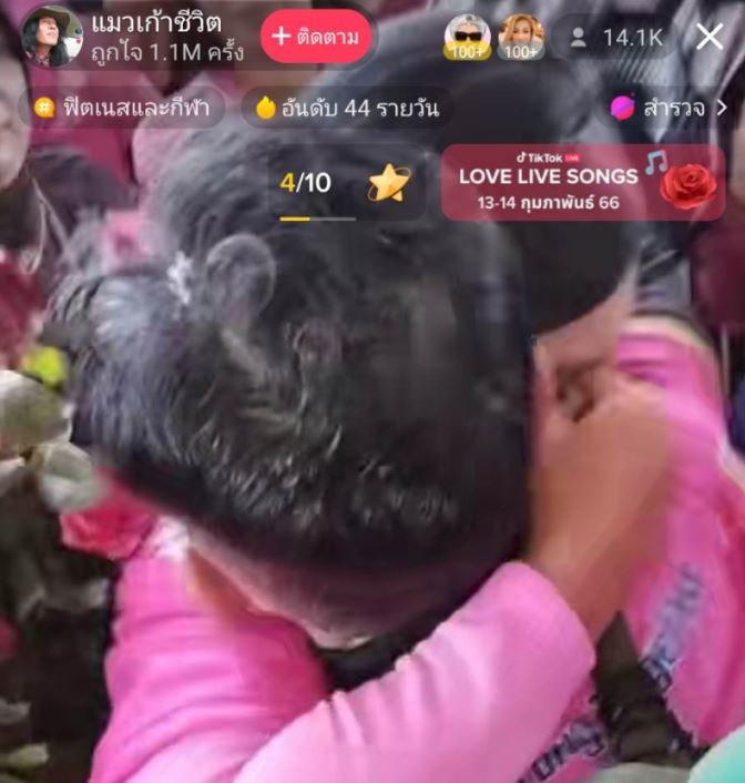 แมวเก้าชีวิต