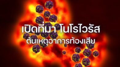 โนโรไวรัส