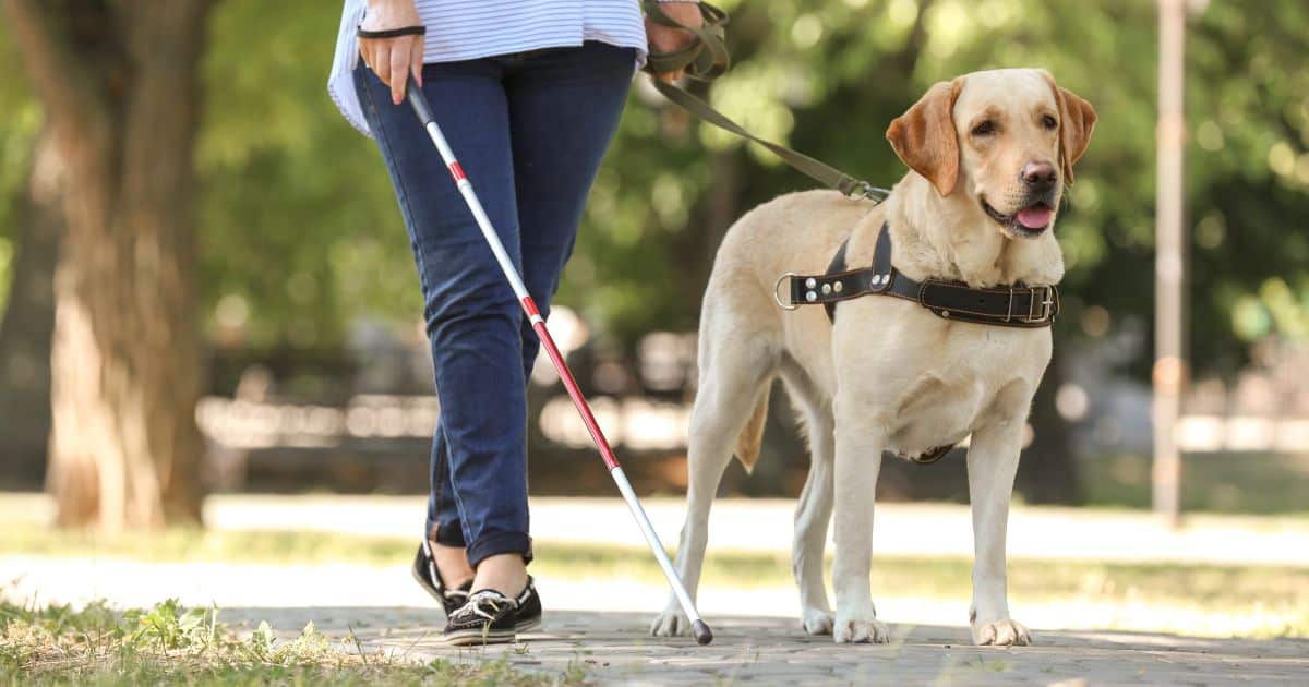 ฝันว่าจูงคนตาบอด