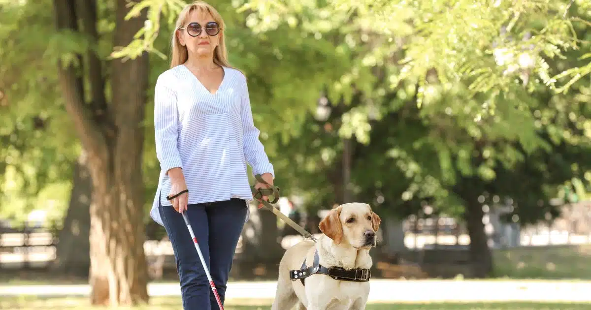 ฝันว่าตามองไม่เห็น 1 ข้าง