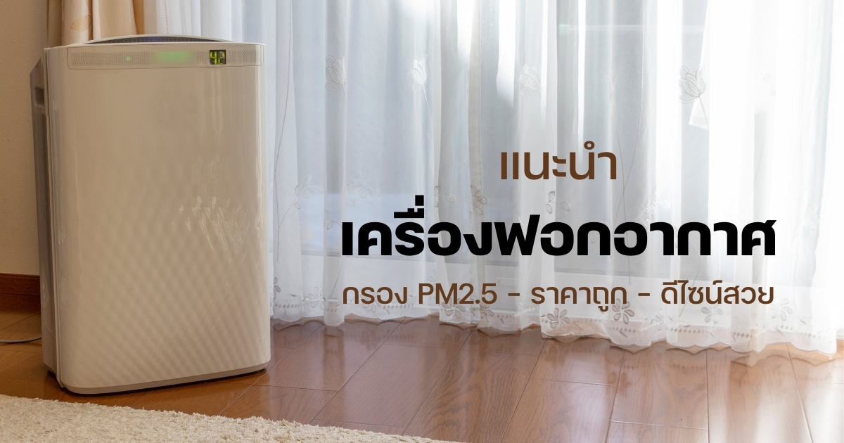 แนะนำ 5 เครื่องฟอกอากาศ กรองฝุ่น Pm2.5 ราคาถูกใจ ดีไซน์สวยเข้าตา | Thaiger  ข่าวไทย