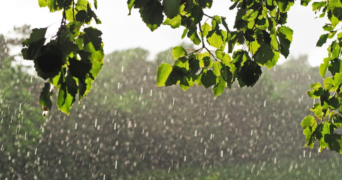 23 มีนาคม วันอุตุนิยมวิทยาโลก