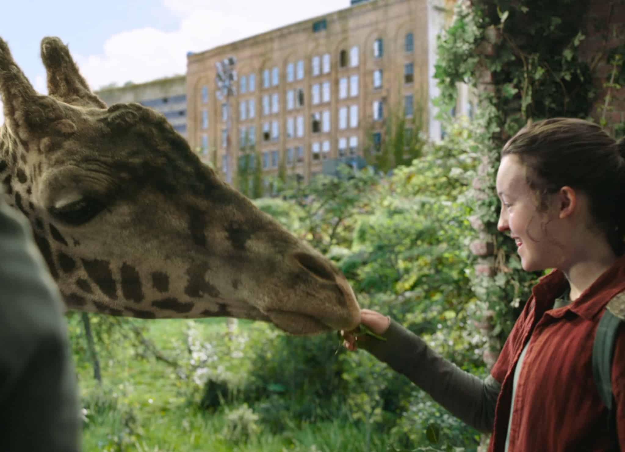 The Last of Us ใช้ยีราฟจริง